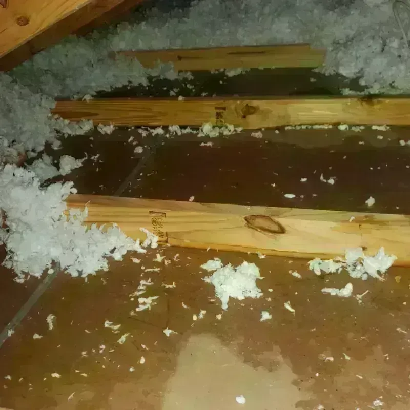 Attic Water Damage in Lakewood Park, FL