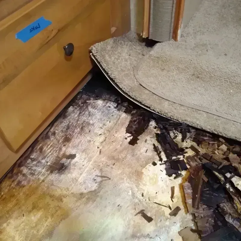 Wood Floor Water Damage in Lakewood Park, FL